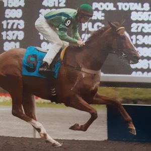 Meet your Posher, Cryssy